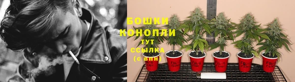 крисы Балабаново