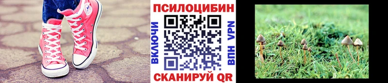 Псилоцибиновые грибы мухоморы  ОМГ ОМГ ССЫЛКА  Салаир 